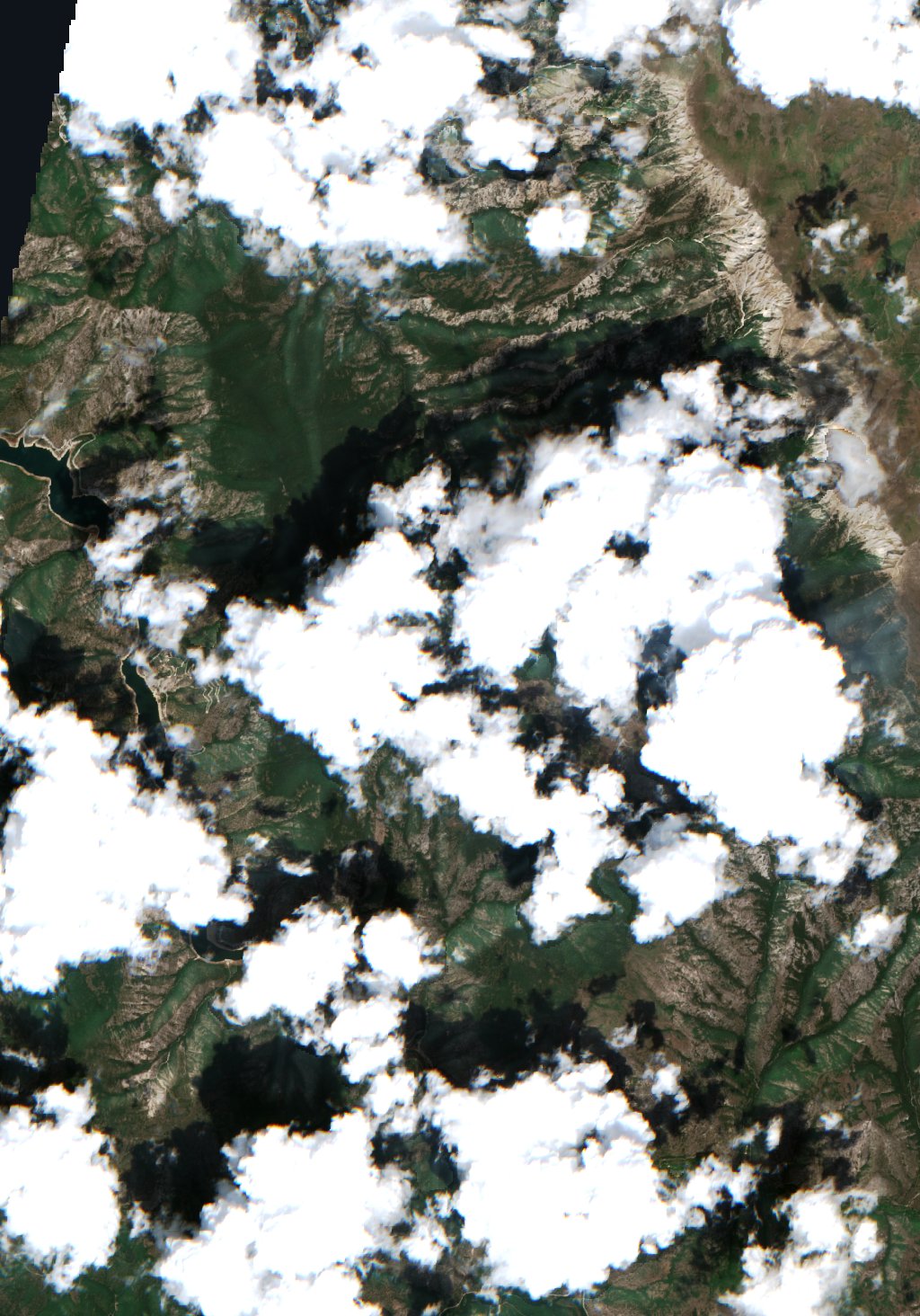 The area before the fire, July 21, 2024