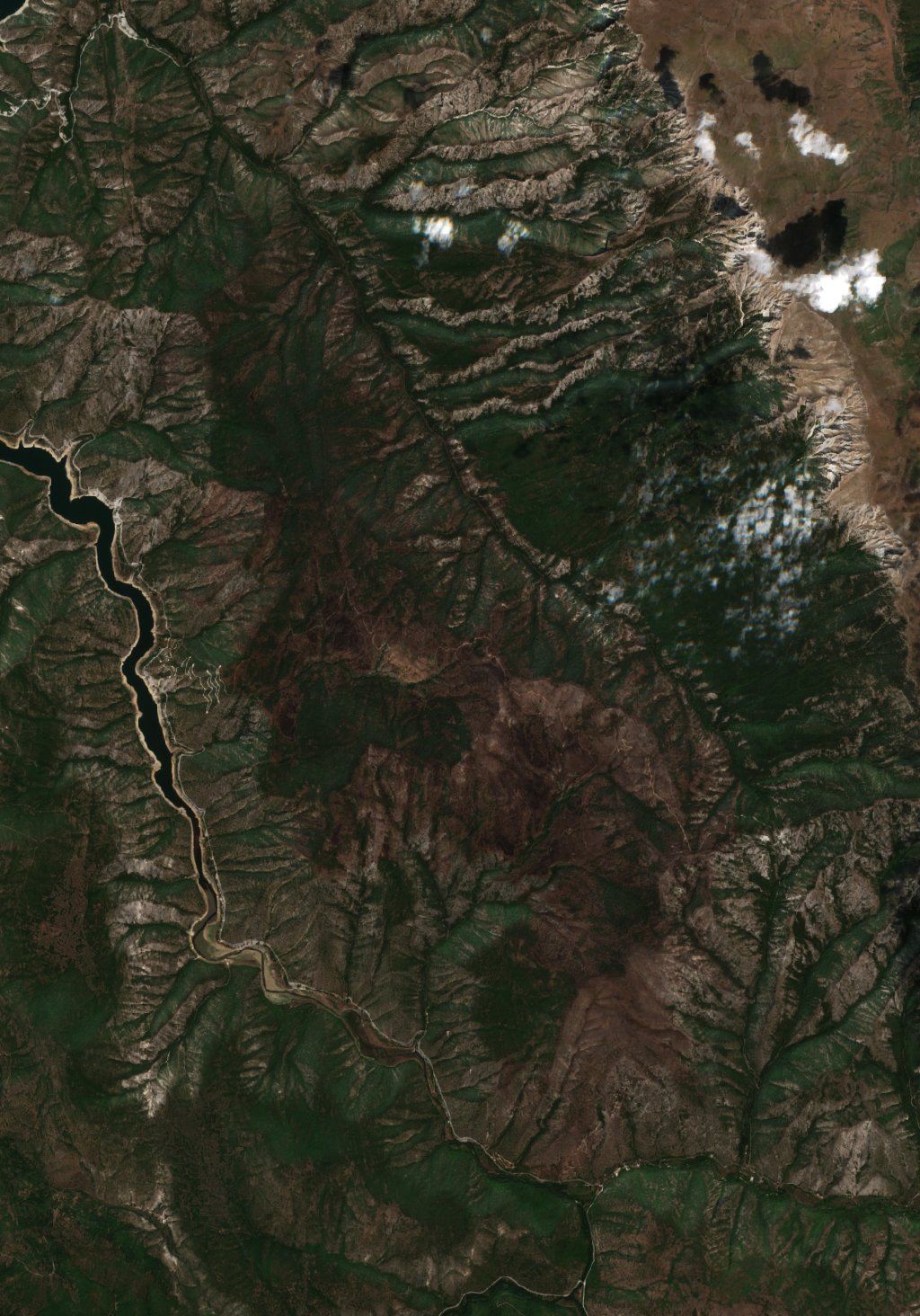 The area after the fire, August 23, 2024