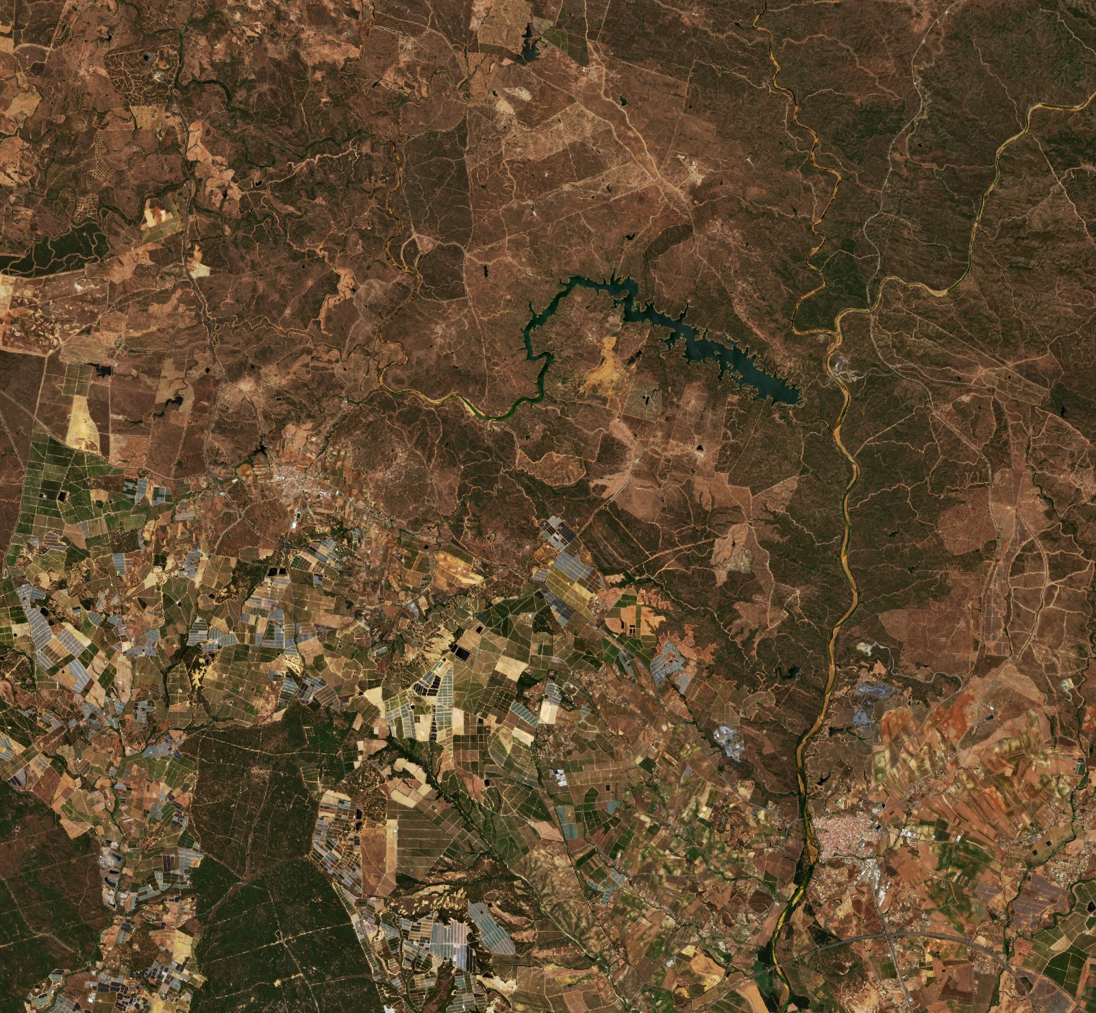 The area before the fire, June 4, 2026