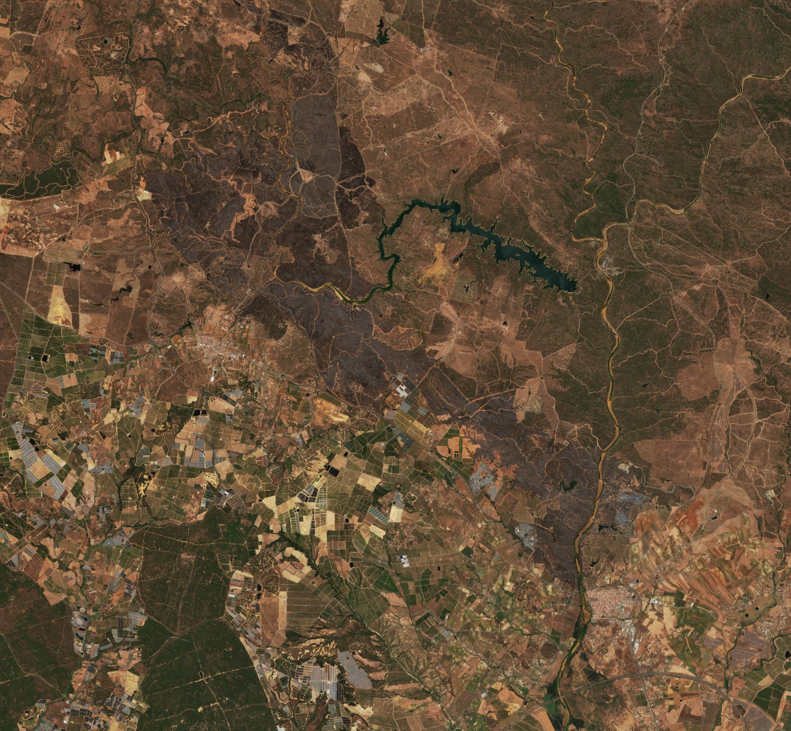The area after the fire, June 16, 2026
