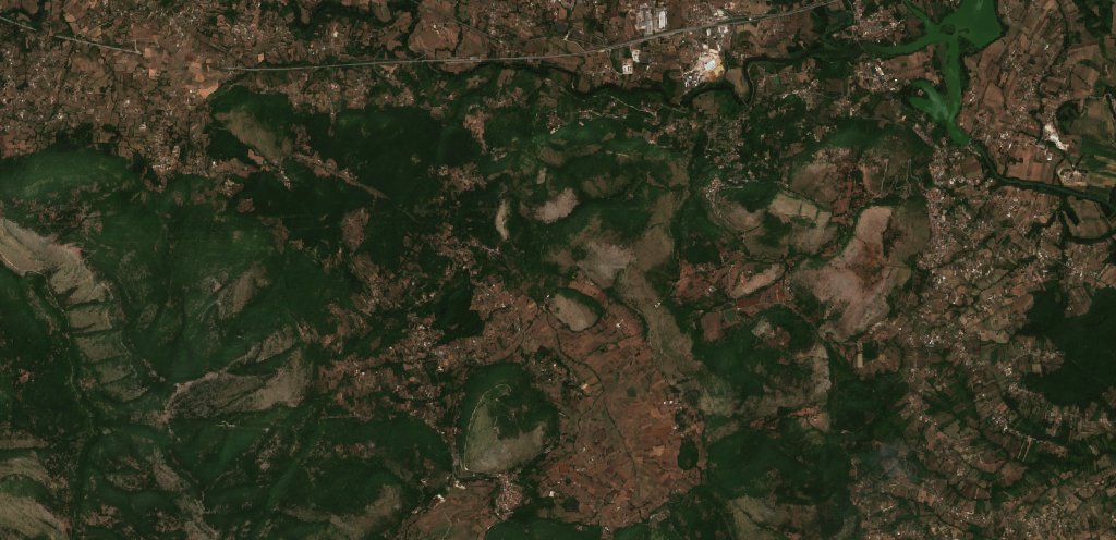 Sentinel-2 images