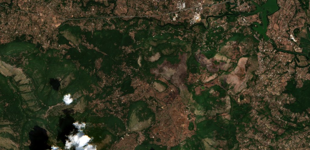 The area before the fire, August 4, 2026