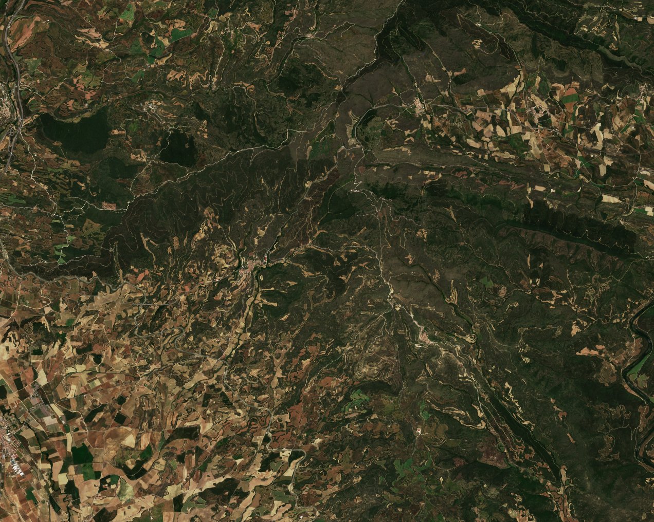 The area before the fire, May 28, 2022