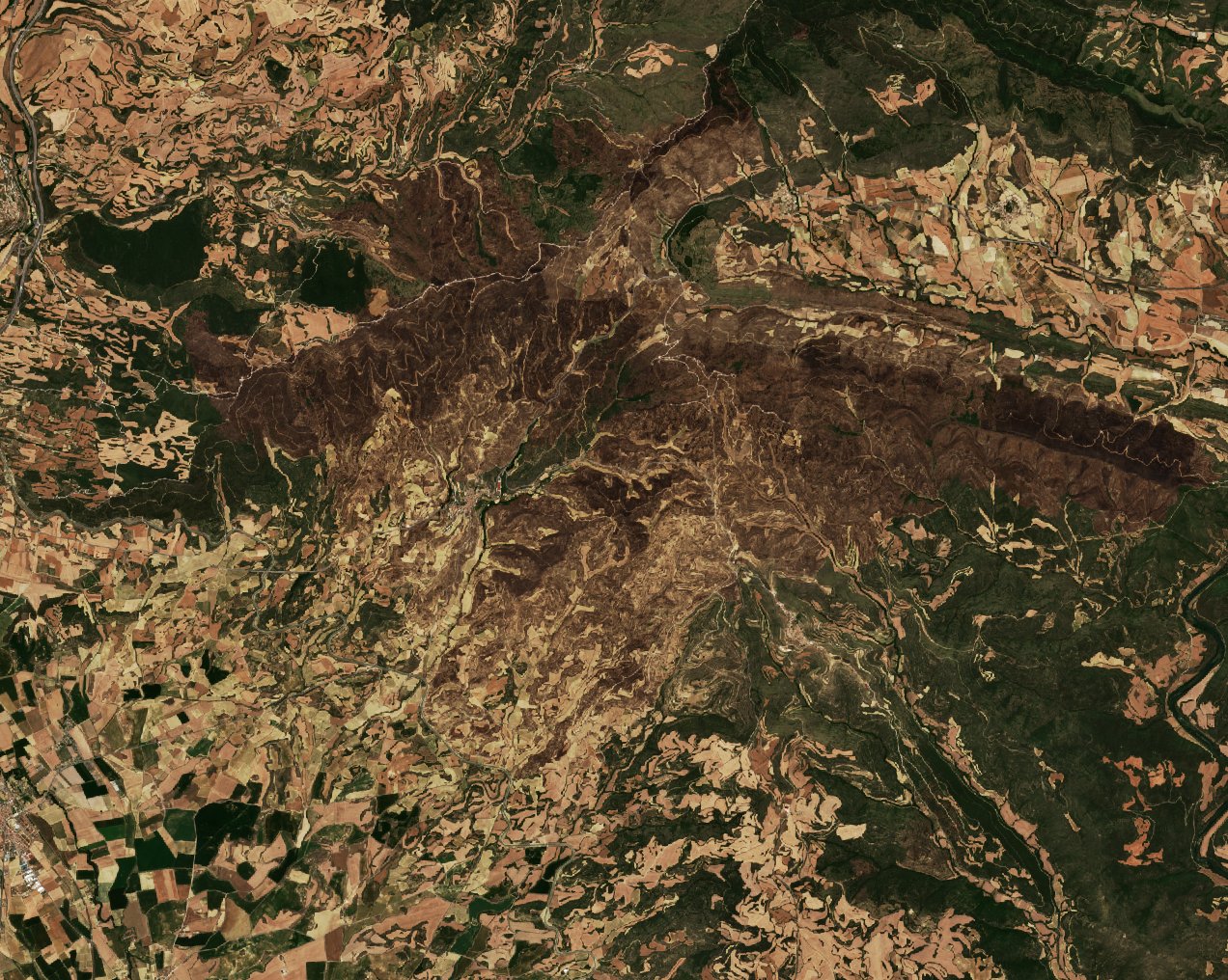 The area after the fire, July 12, 2022