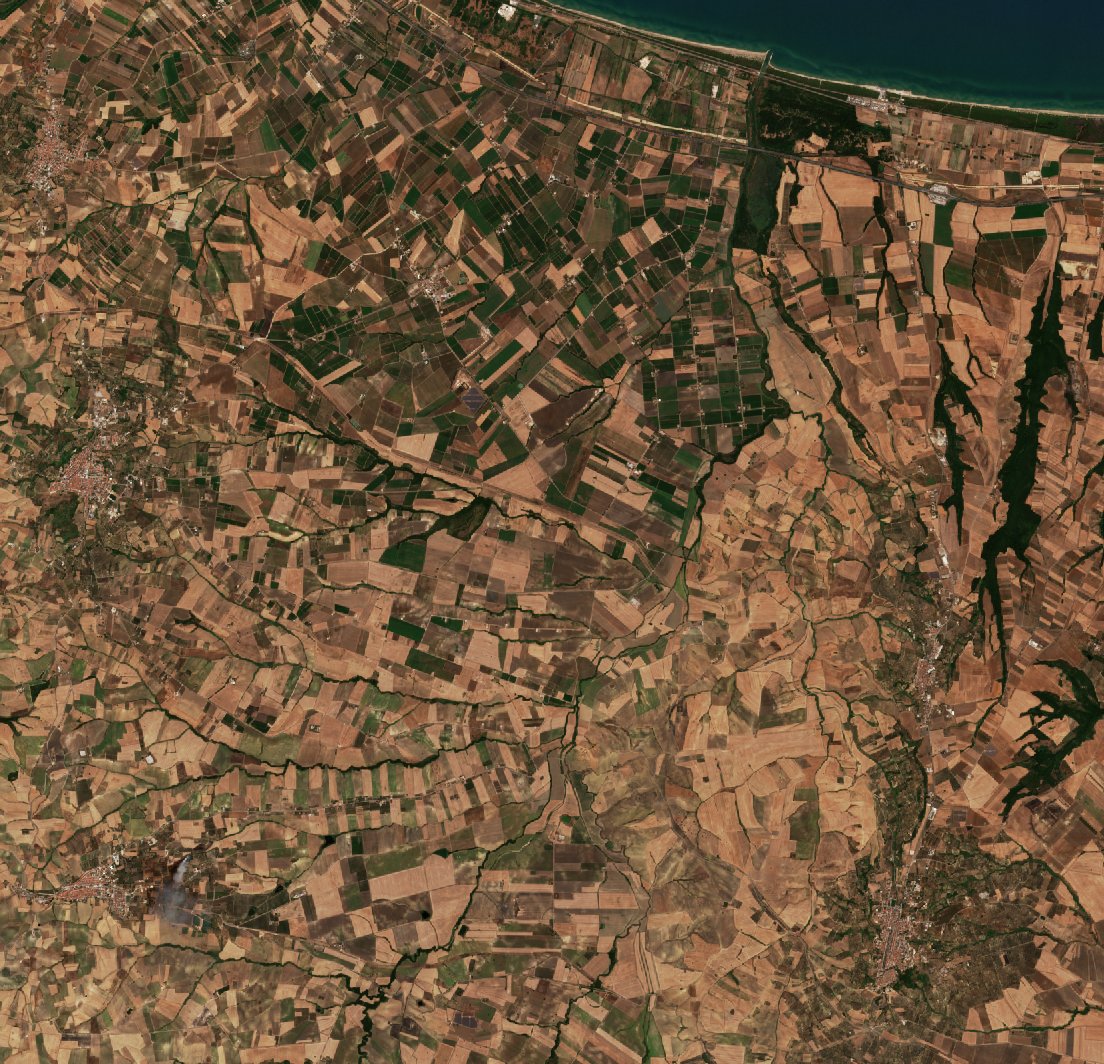 The area before the fire, August 11, 2026