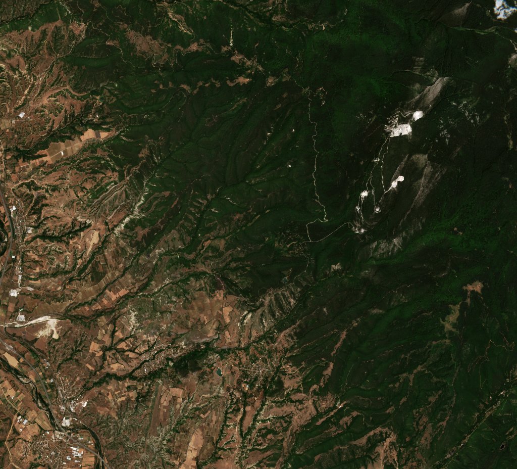 The area before the fire, July 8, 2025