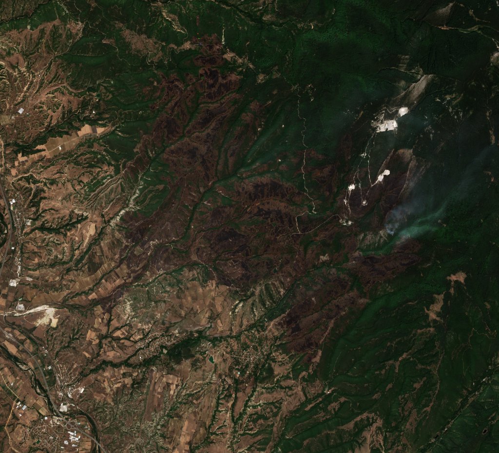 The area after the fire, August 10, 2025