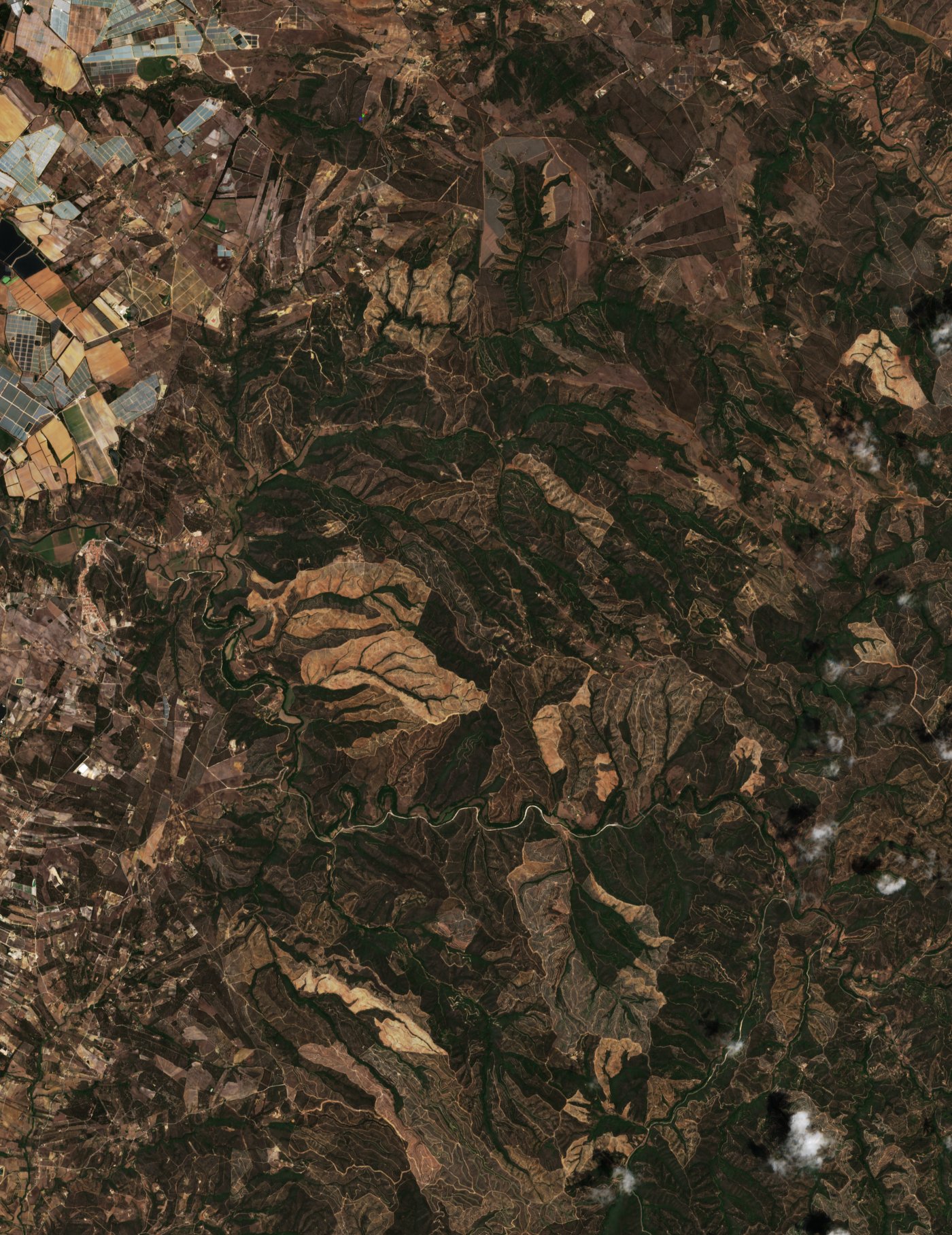 Sentinel-2 images