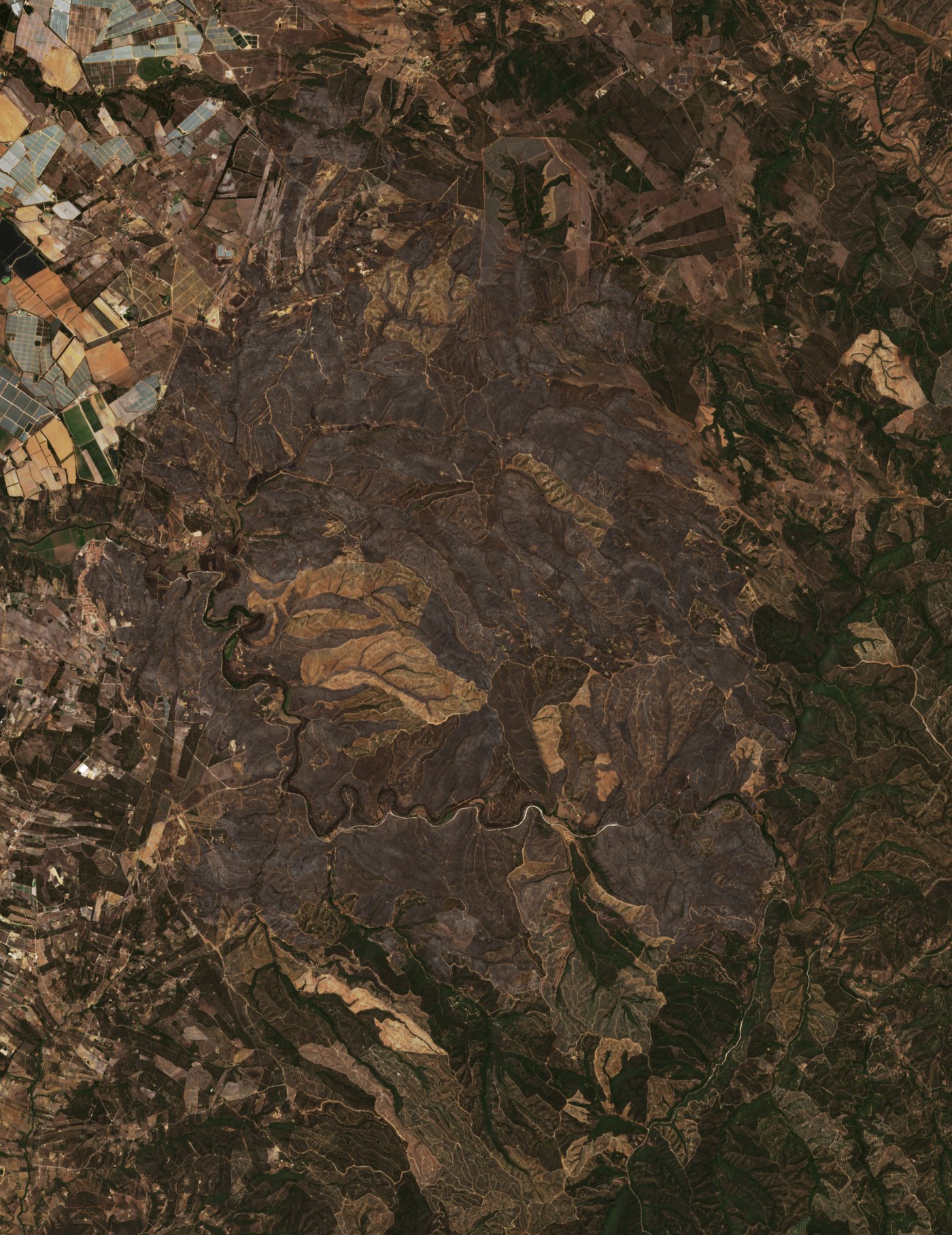 The area after the fire, August 12, 2023