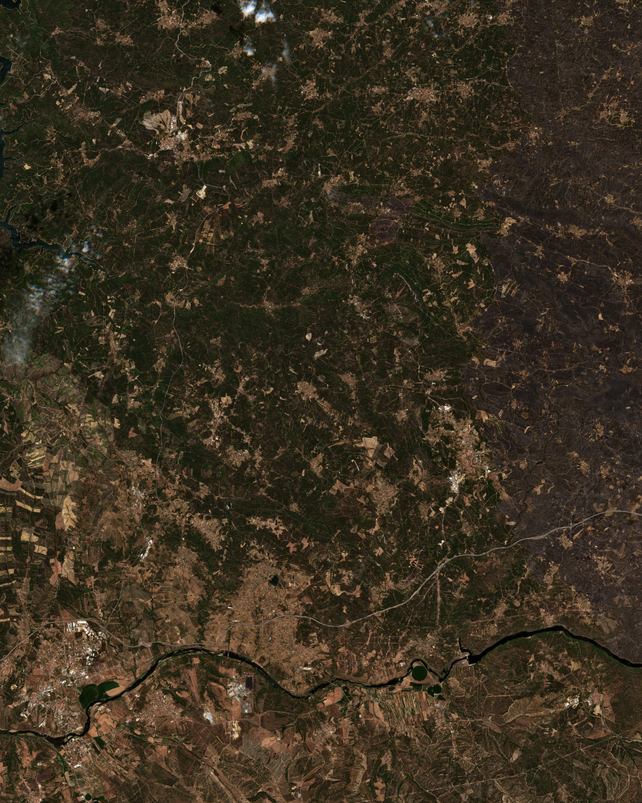 The area before the fire, July 29, 2017