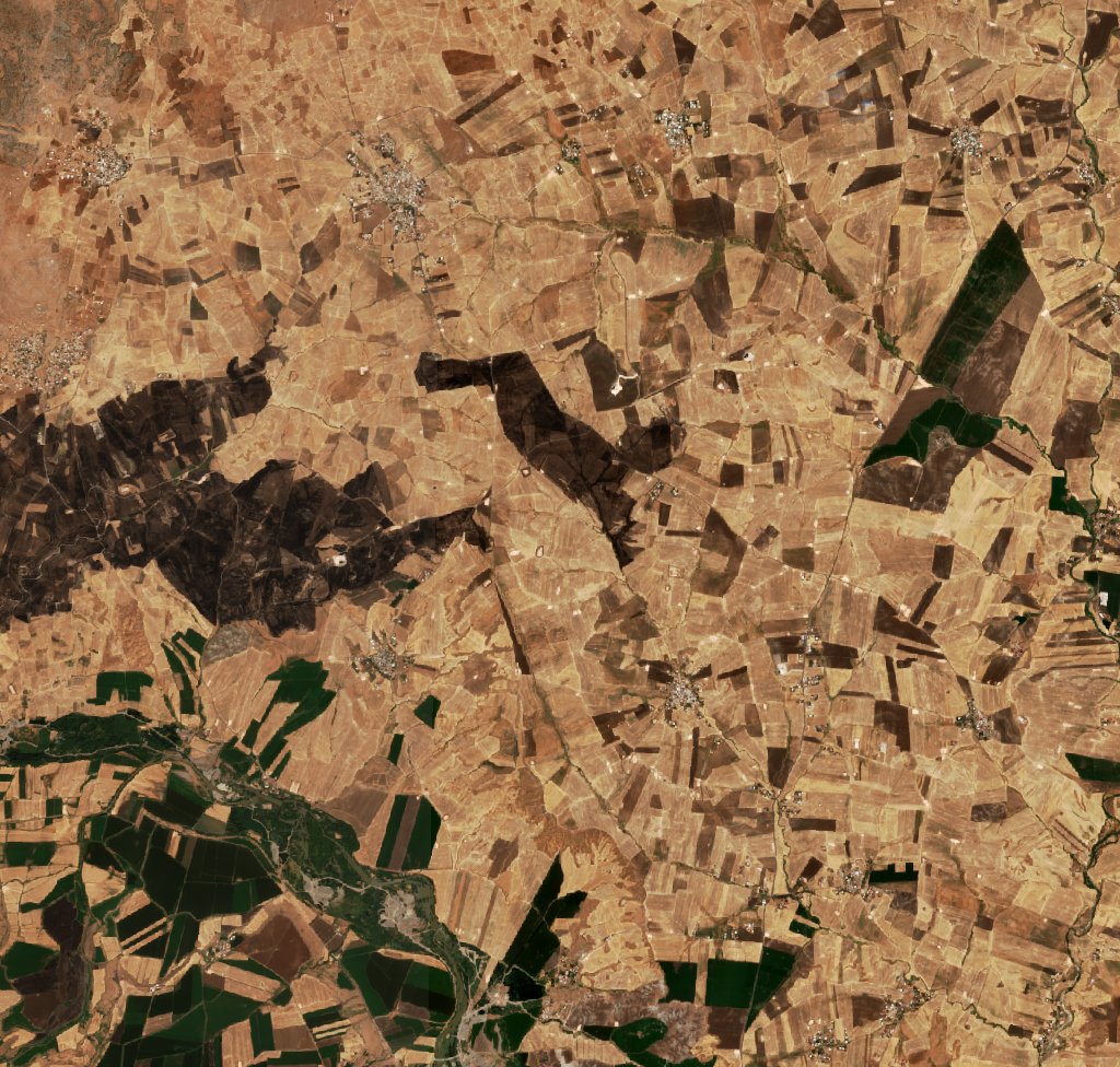 Sentinel-2 images
