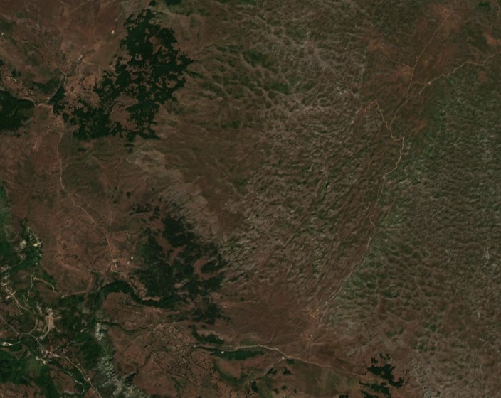 The area before the fire, August 21, 2026