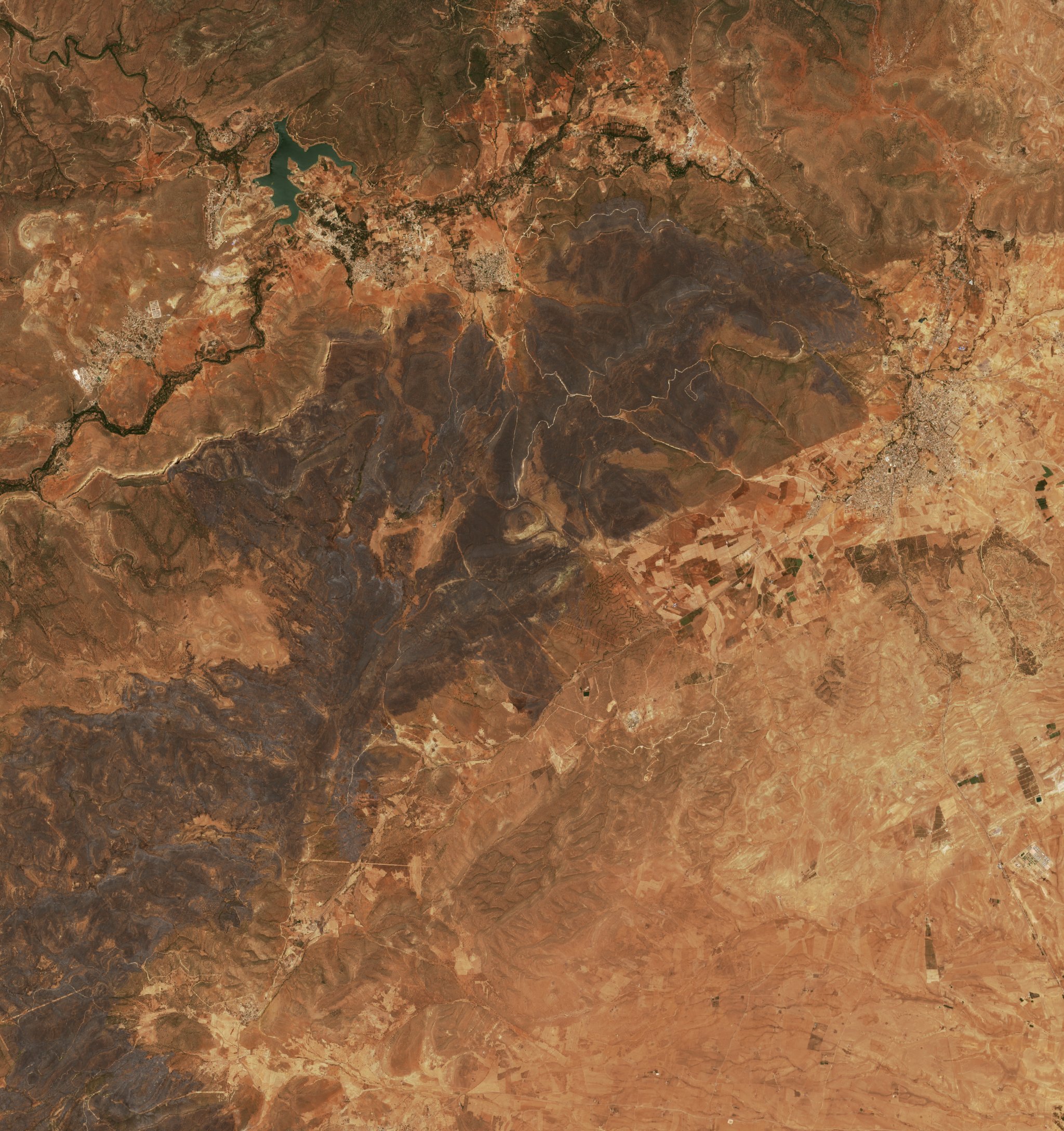 The area after the fire, July 30, 2026