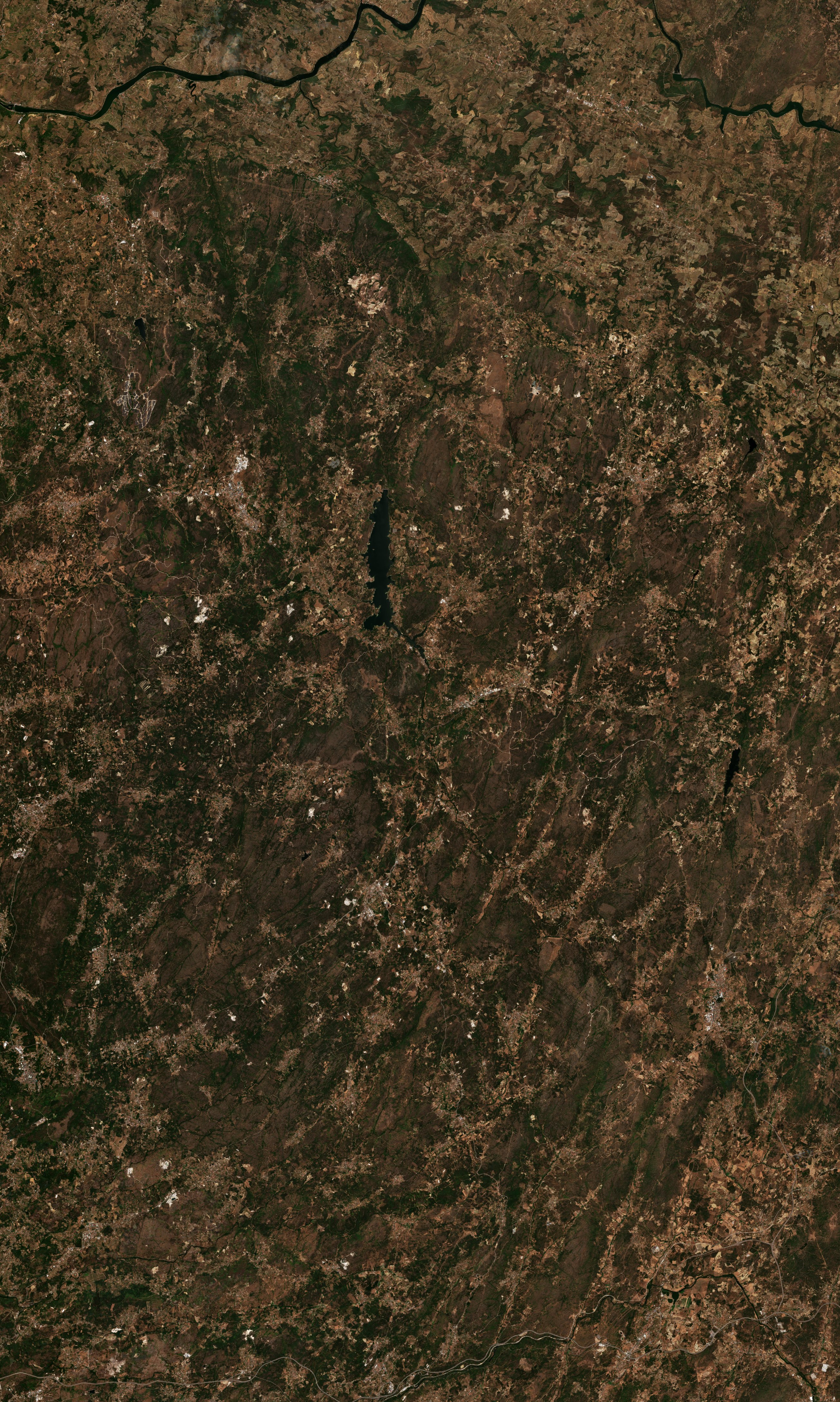 The area before the fire, August 1, 2025
