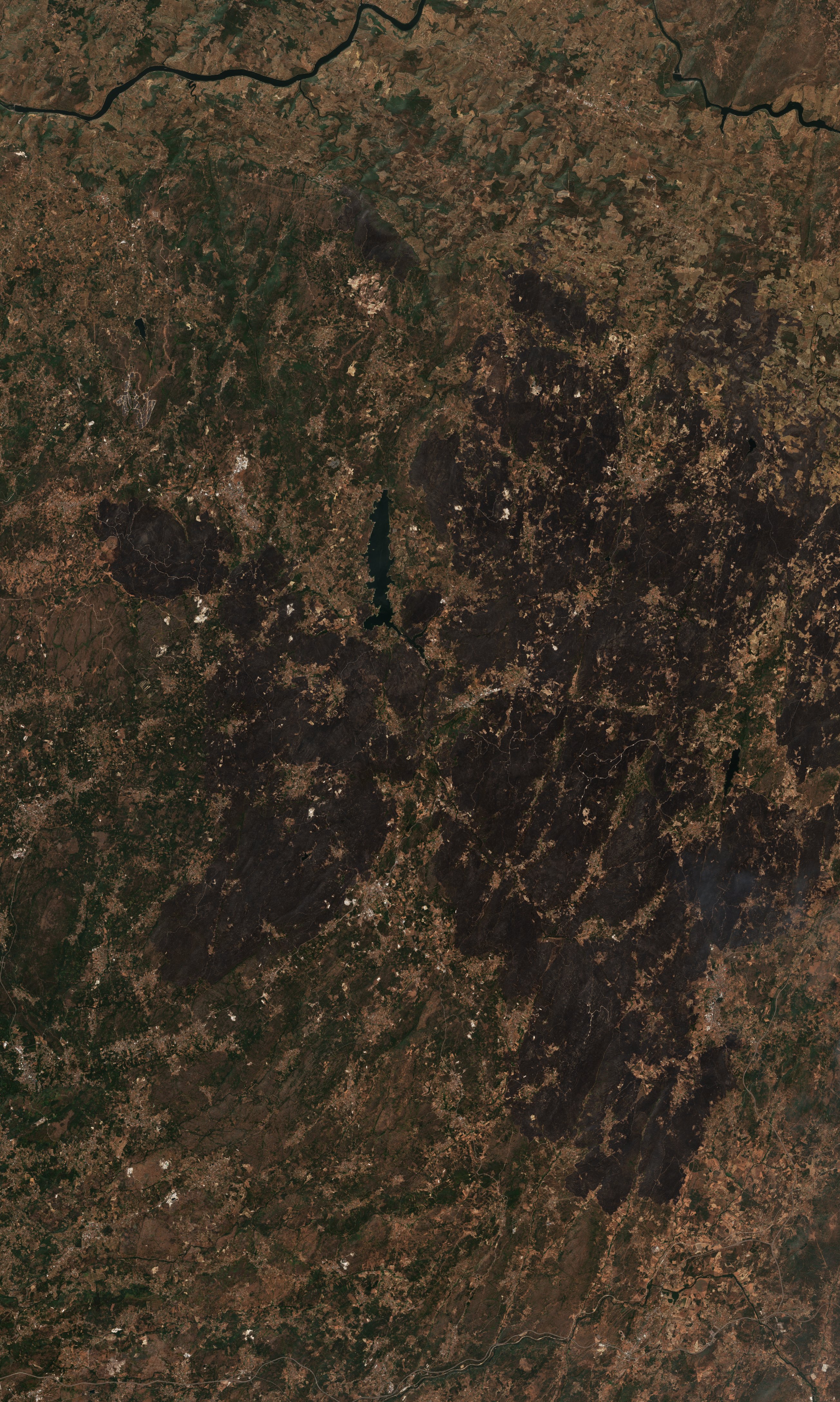 The area after the fire, August 21, 2025