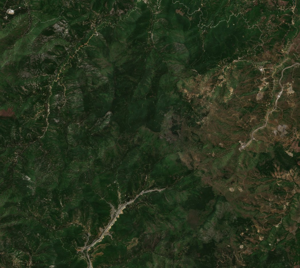 The area before the fire, July 25, 2021