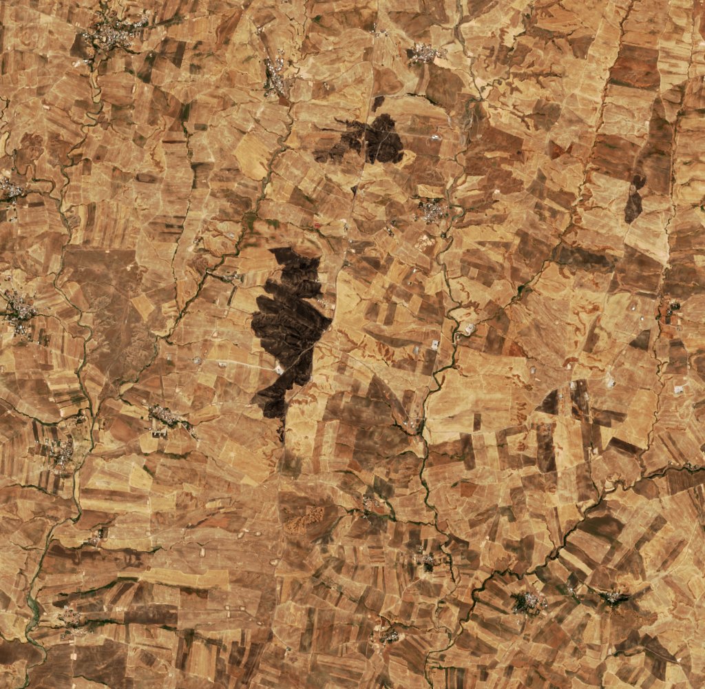 Sentinel-2 images