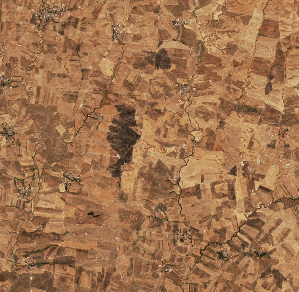 The area before the fire, September 10, 2026