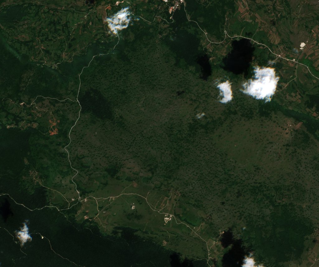 Sentinel-2 images