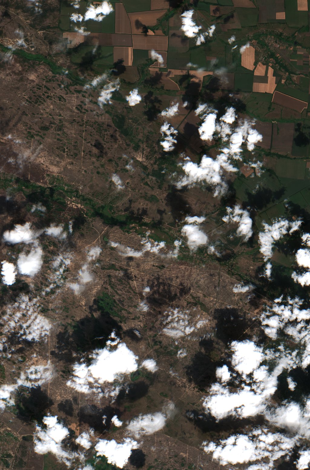 Sentinel-2 images