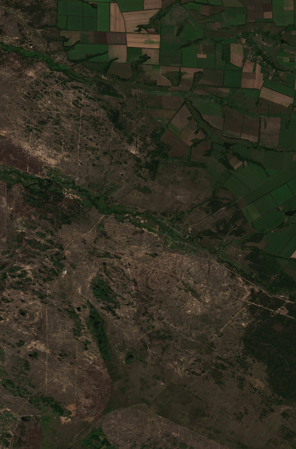 The area before the fire, August 5, 2026