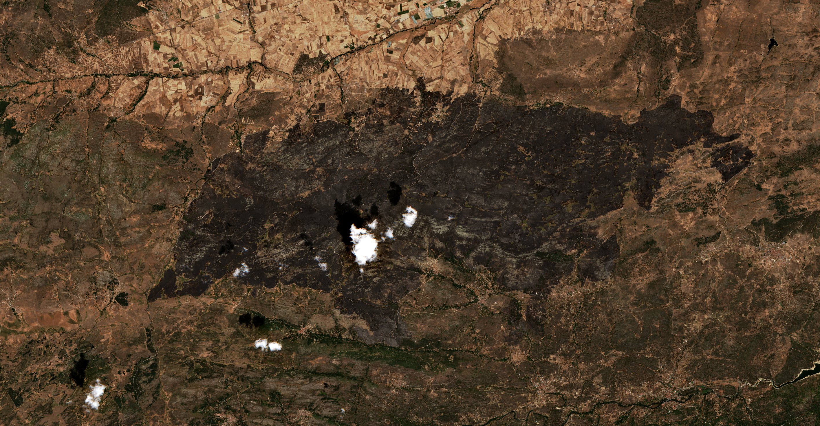The area after the fire, August 19, 2021
