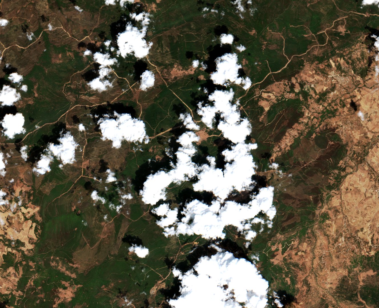 Sentinel-2 images