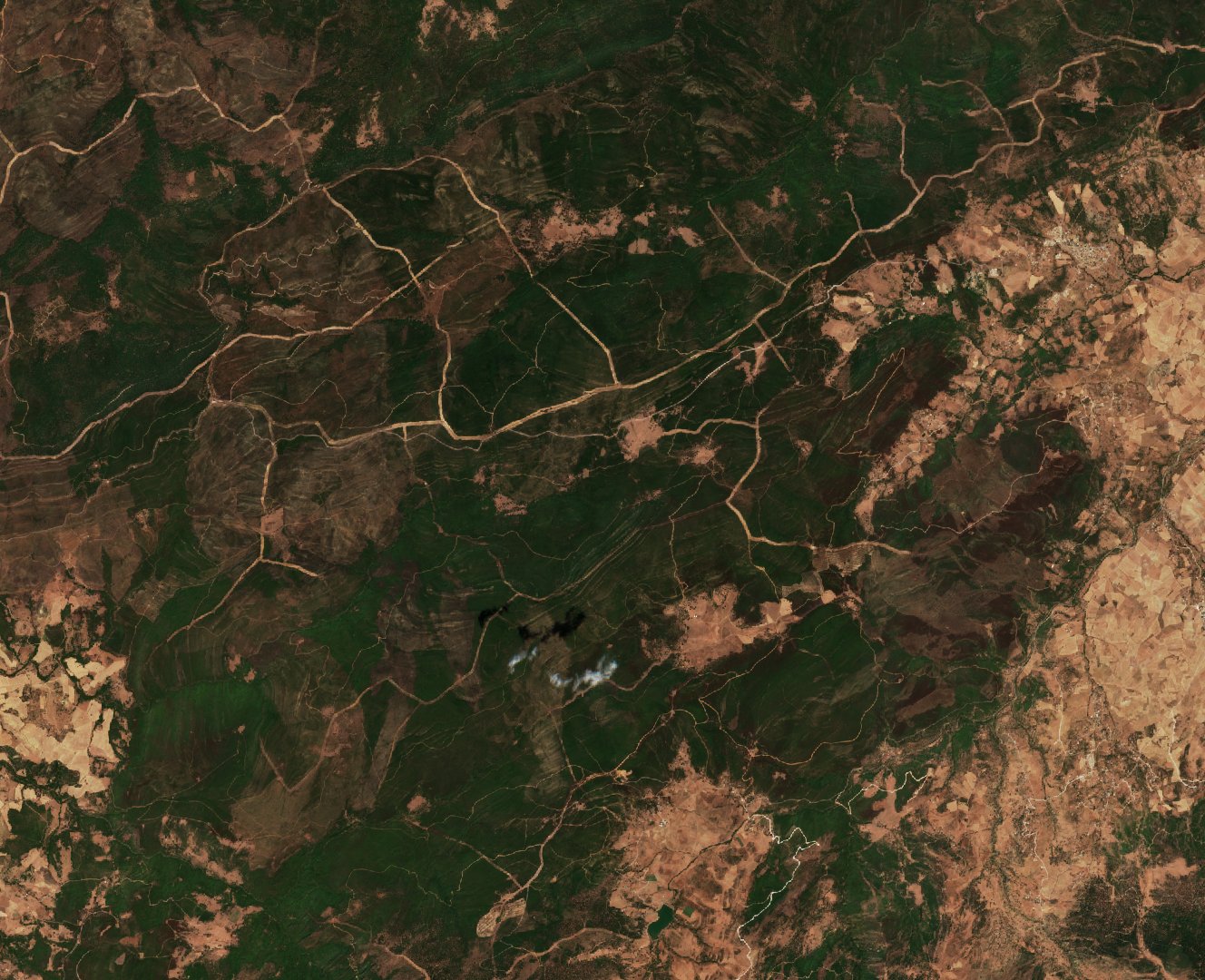 The area before the fire, August 11, 2022
