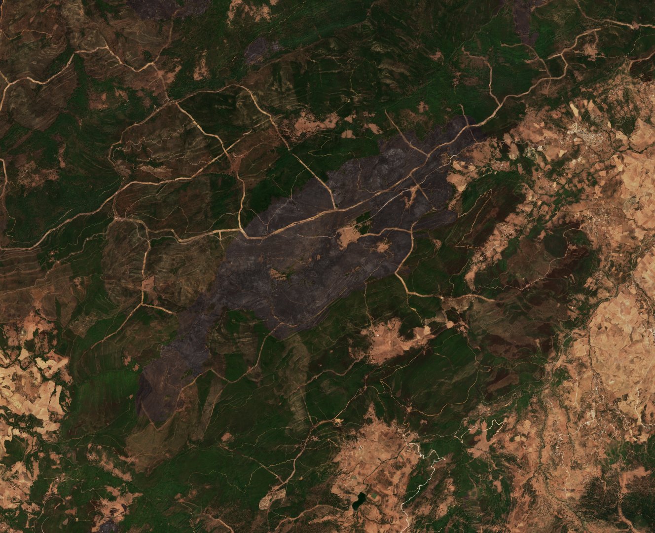 The area after the fire, August 21, 2022
