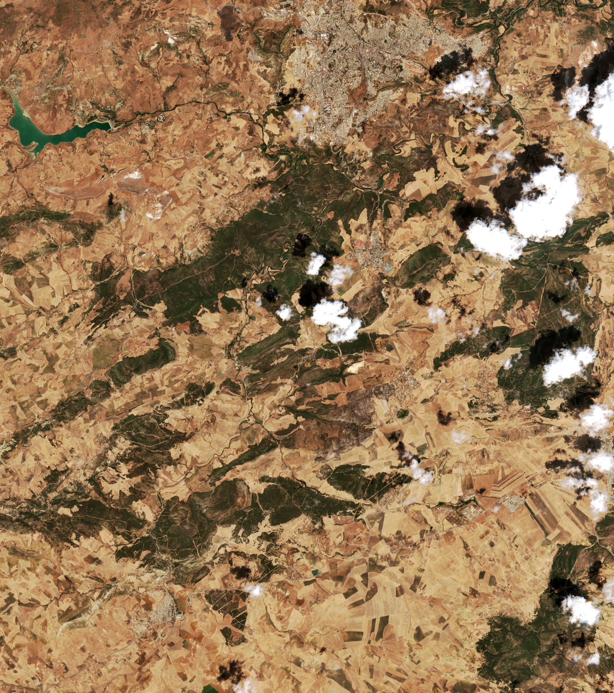 Sentinel-2 images