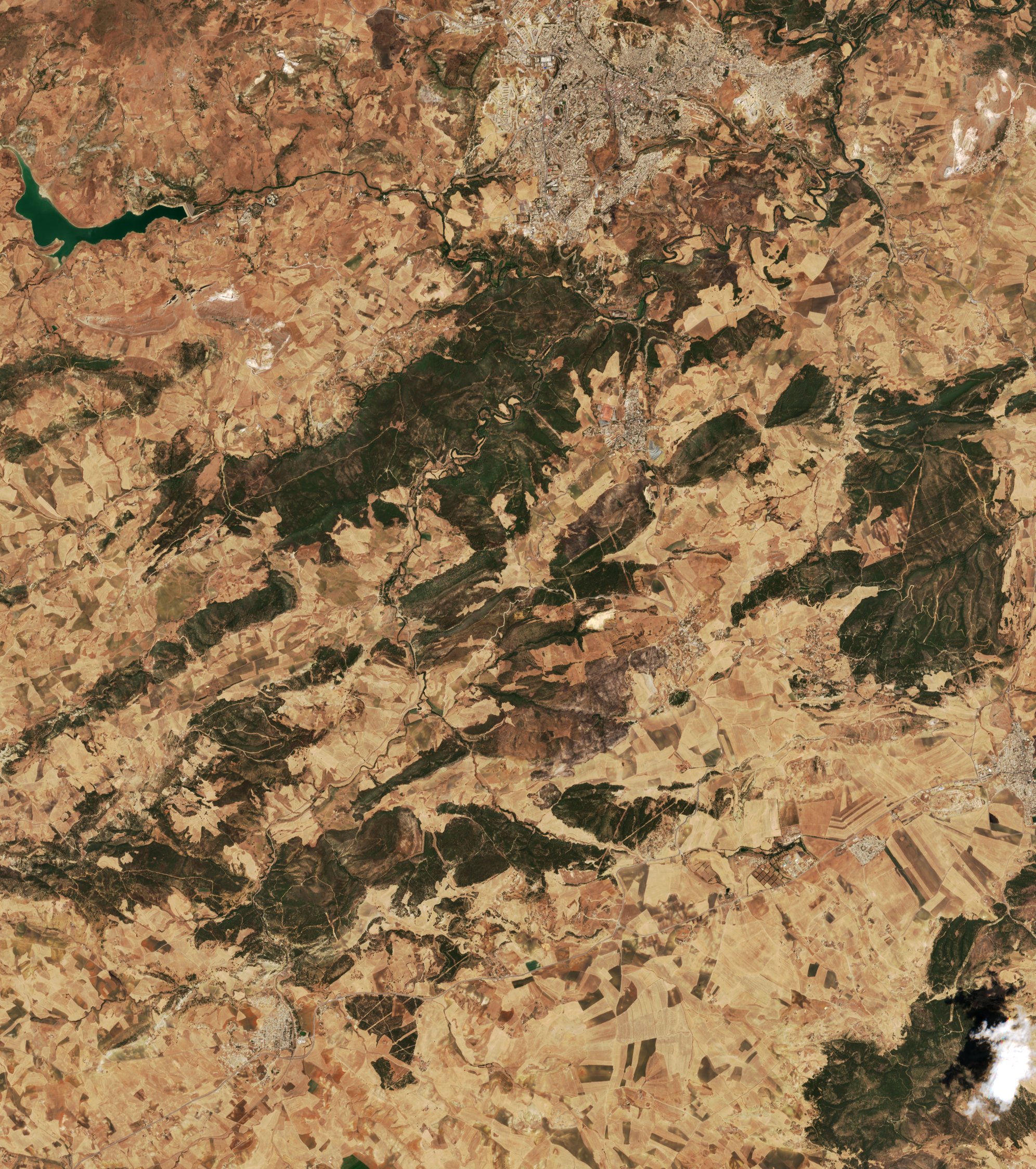 The area before the fire, August 11, 2022
