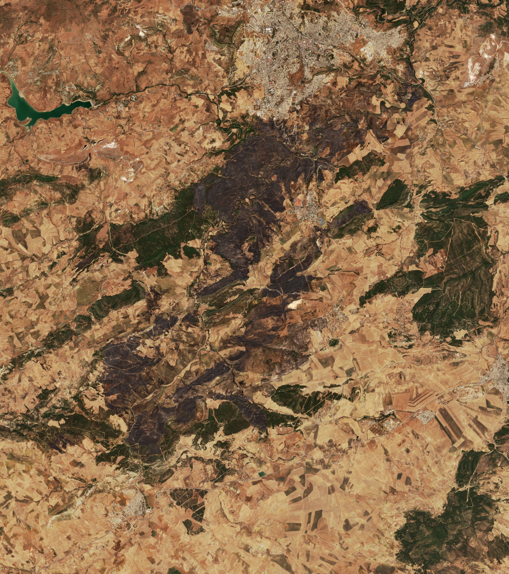 The area after the fire, August 21, 2022