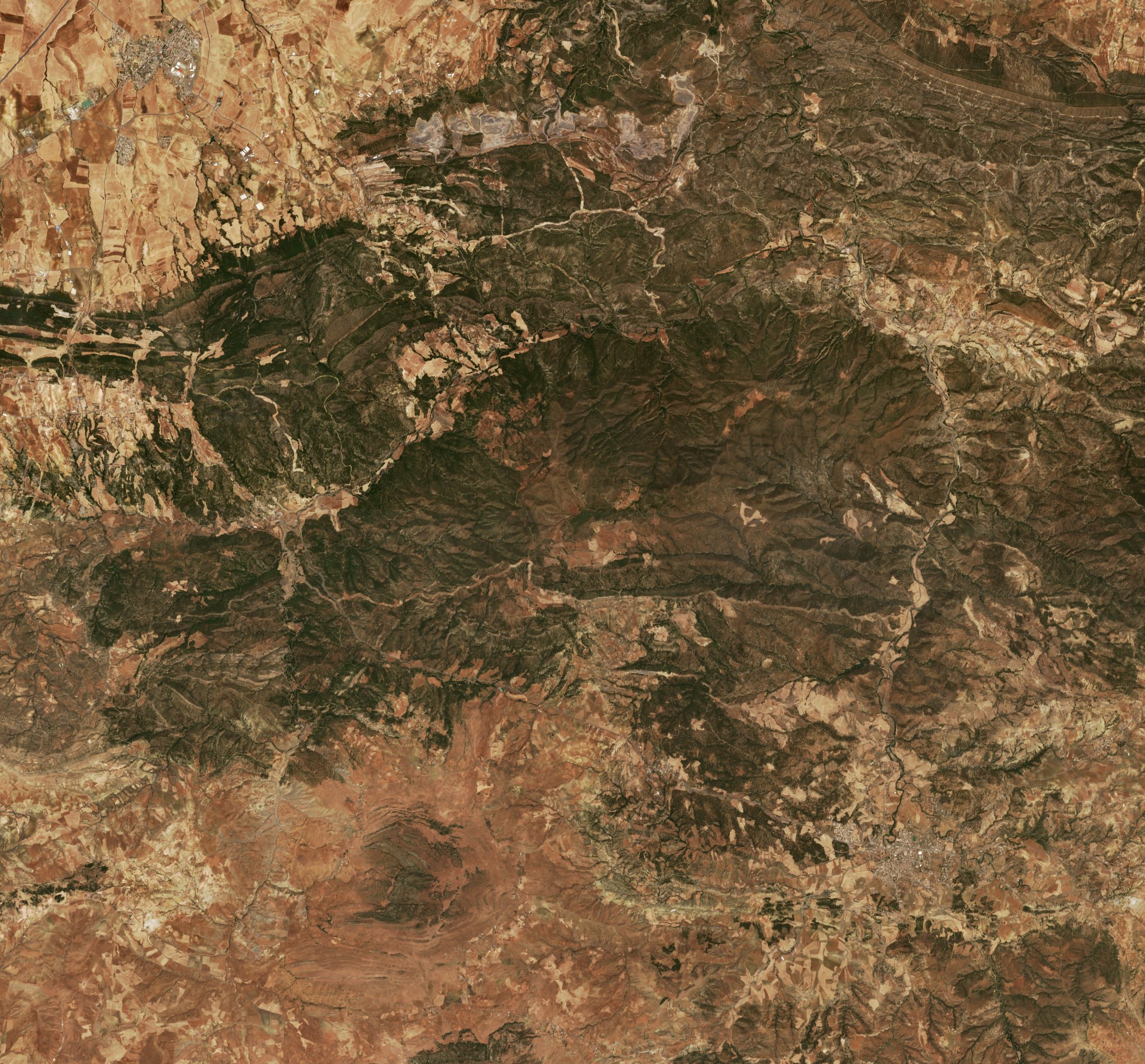 The area before the fire, July 12, 2026