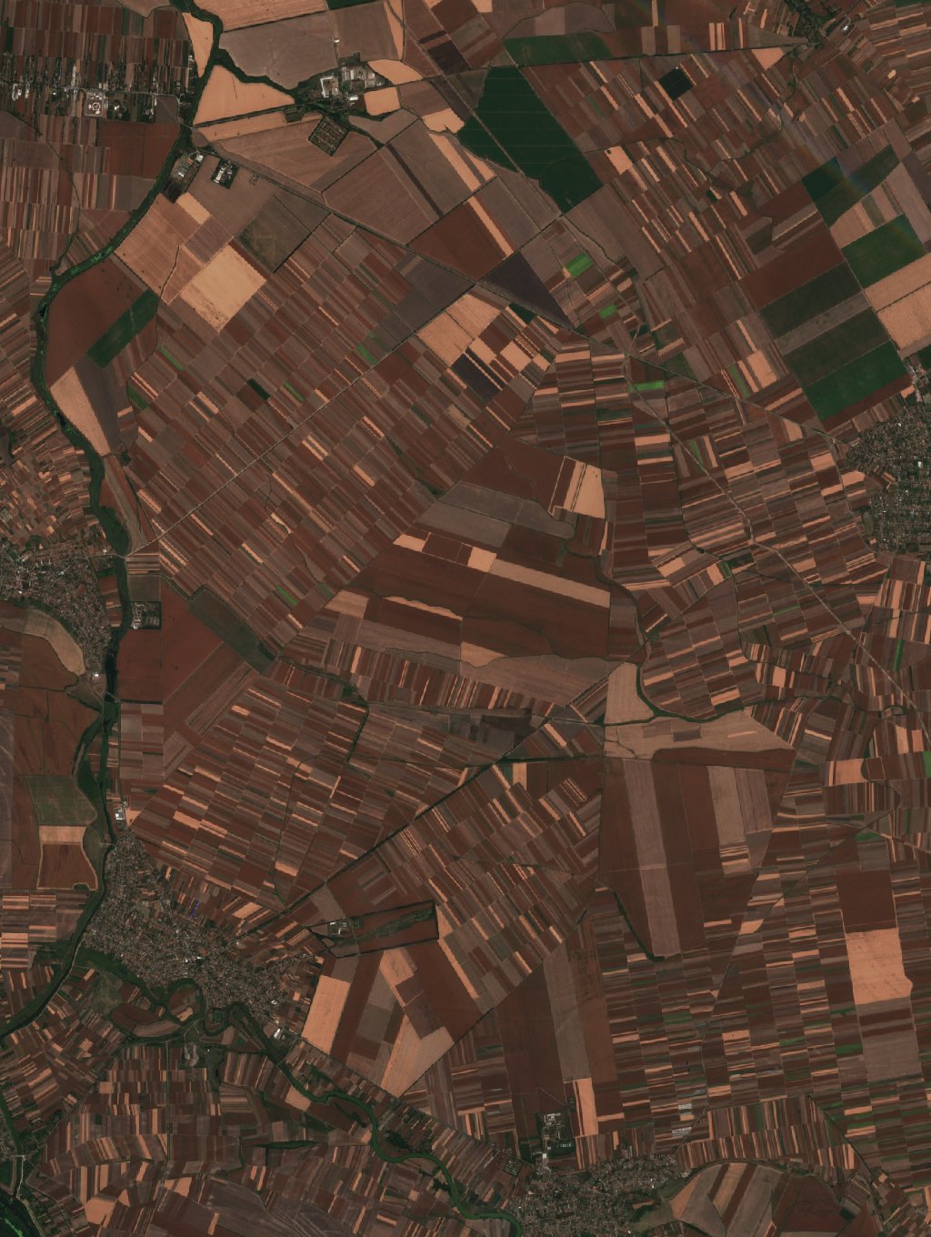 Sentinel-2 images