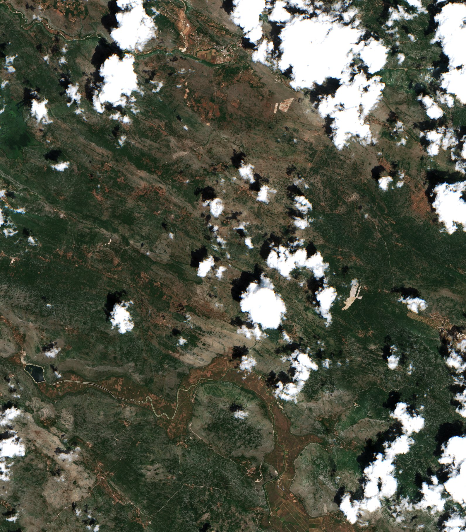 Sentinel-2 images