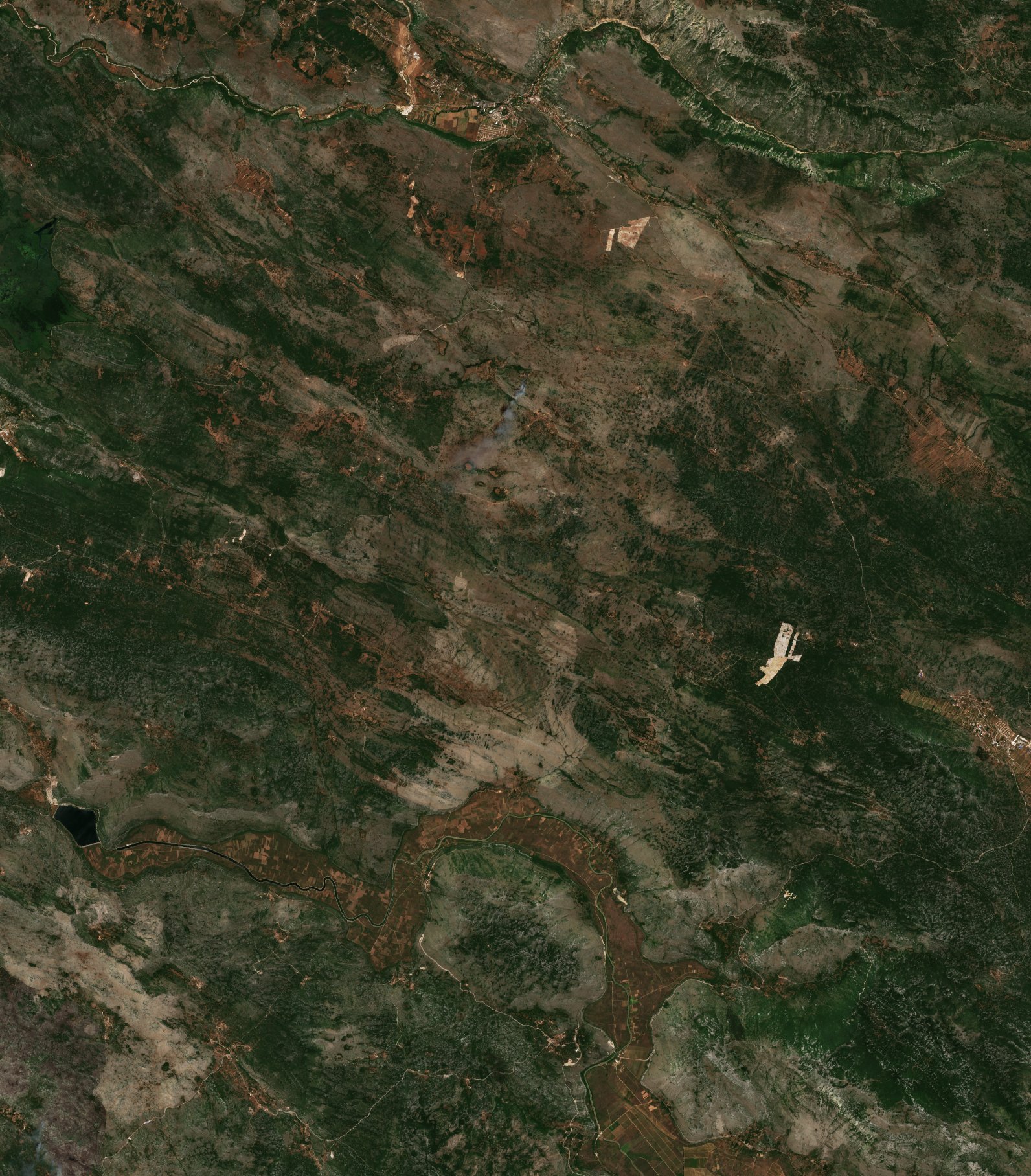 The area before the fire, July 4, 2017