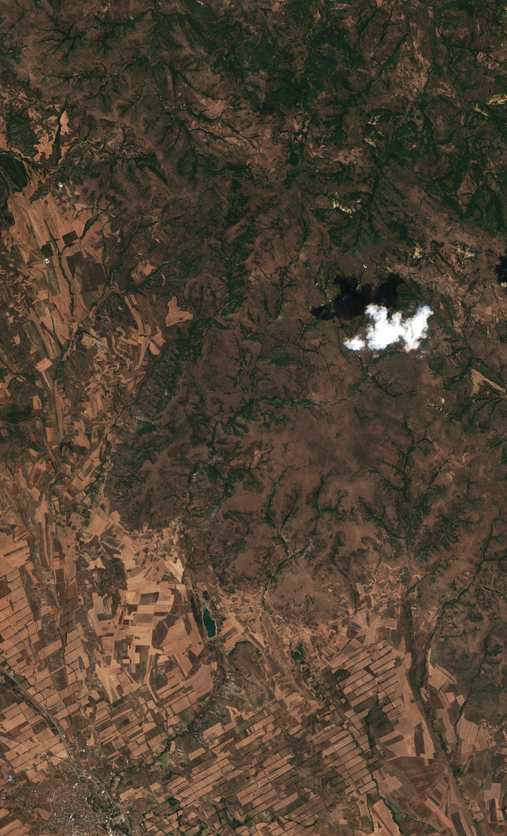 Sentinel-2 images