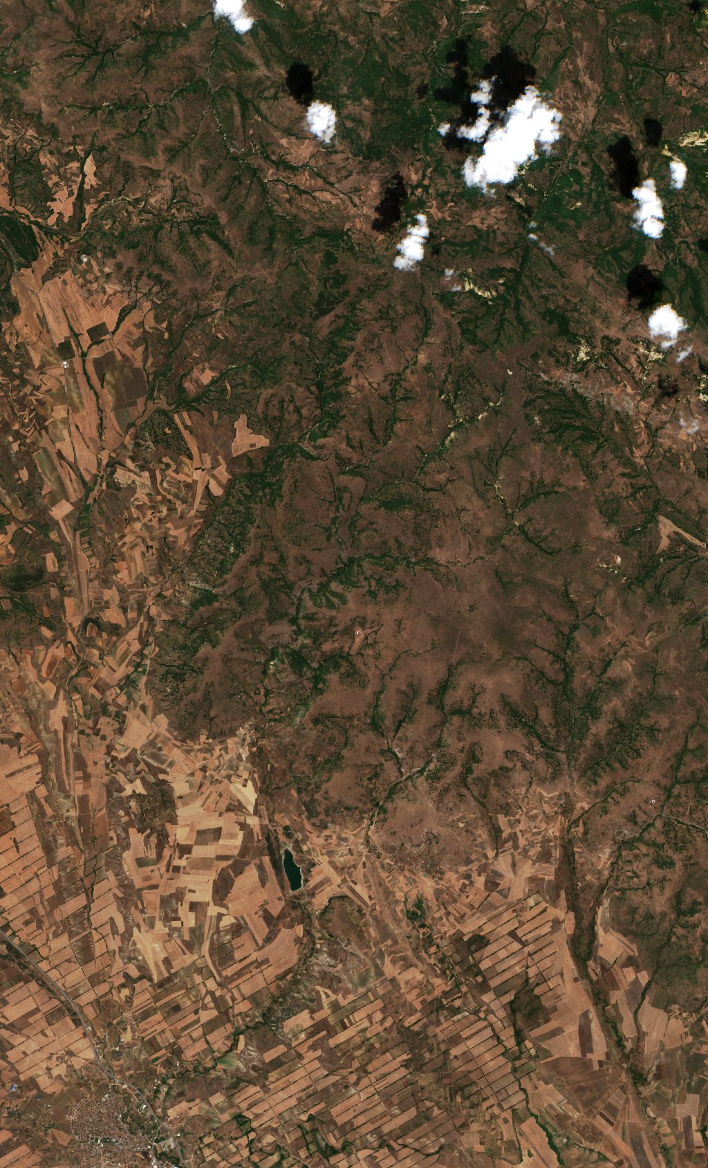 The area before the fire, July 21, 2024