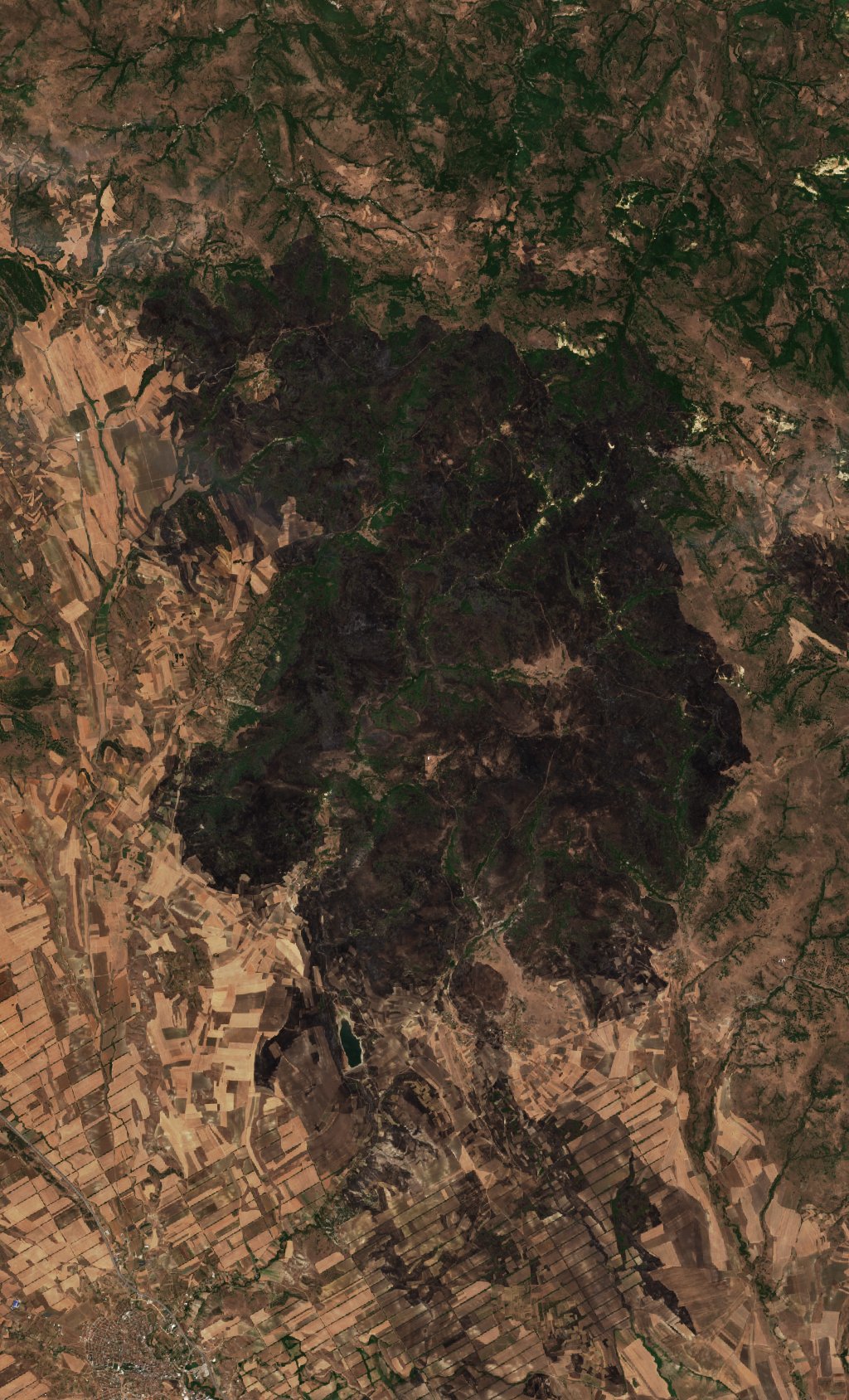 The area after the fire, August 5, 2024