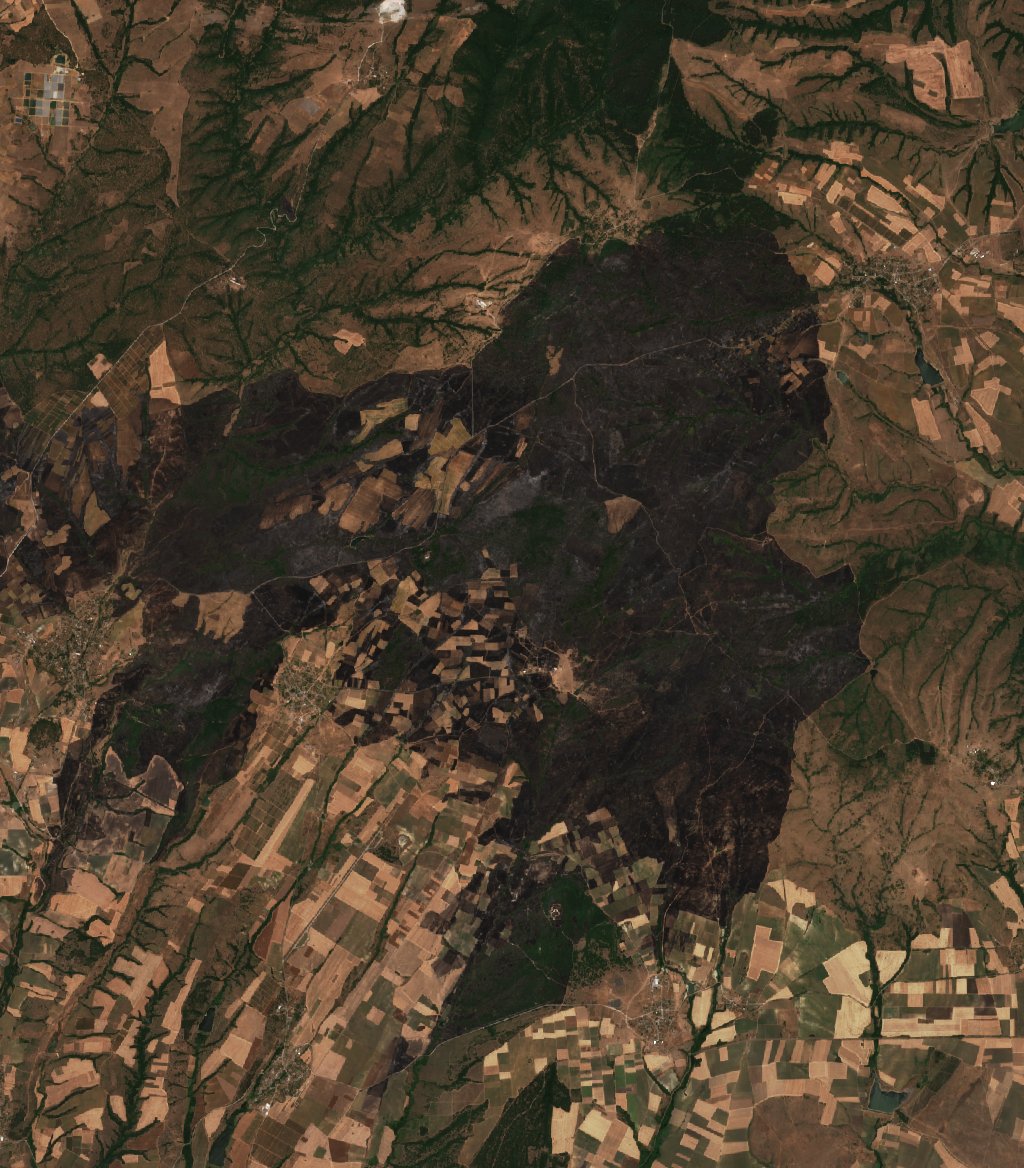 The area after the fire, July 18, 2024