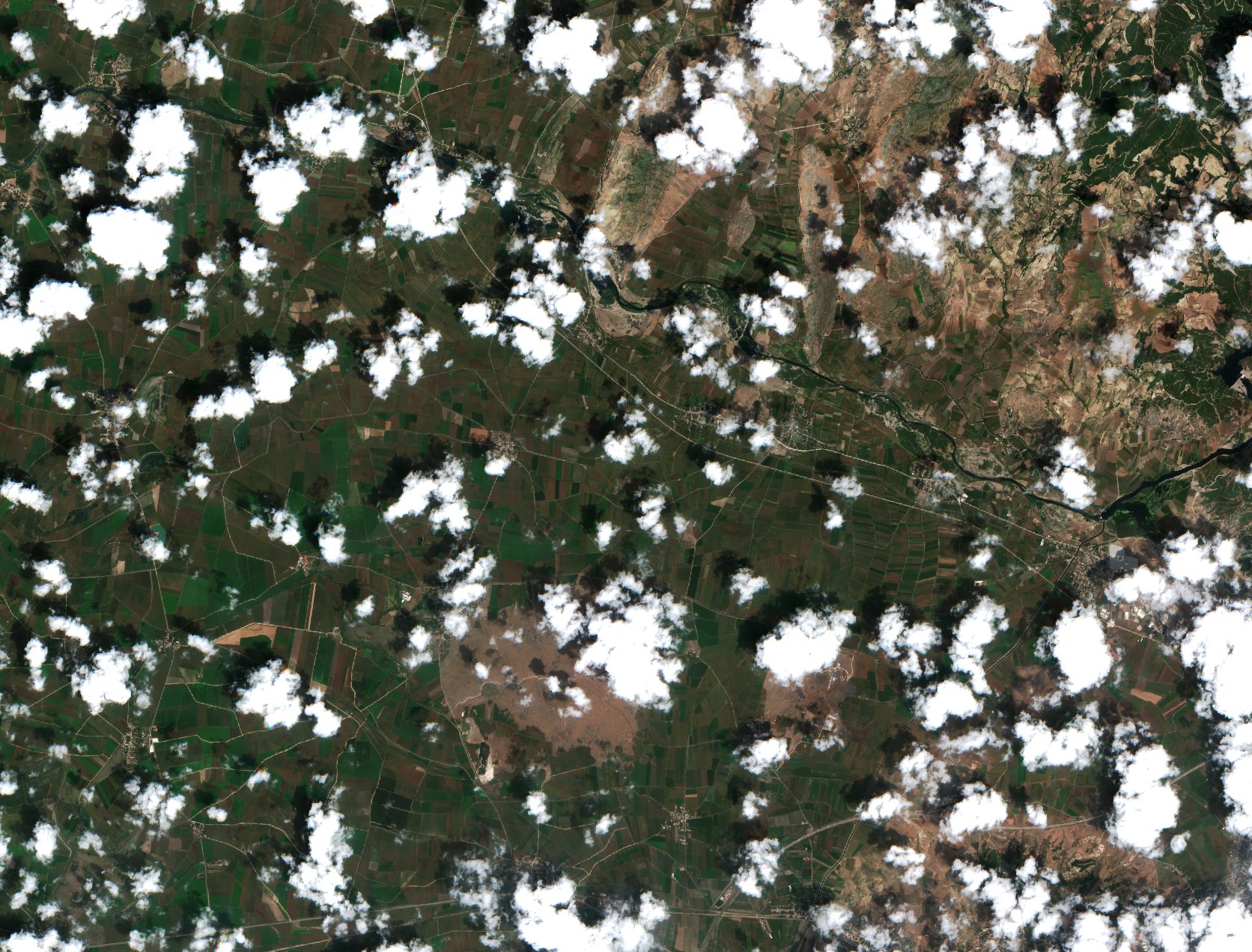 Sentinel-2 images