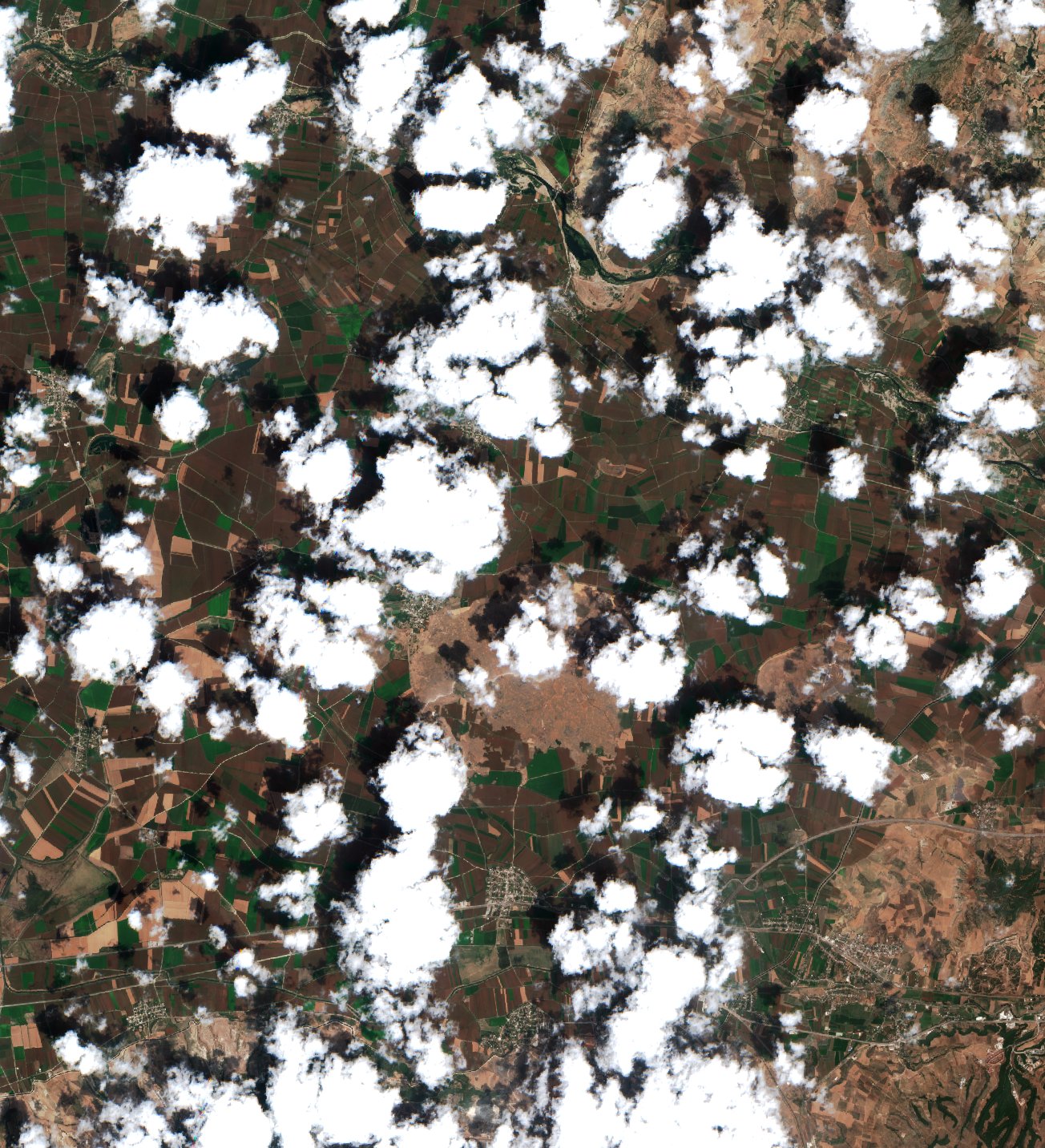 Sentinel-2 images