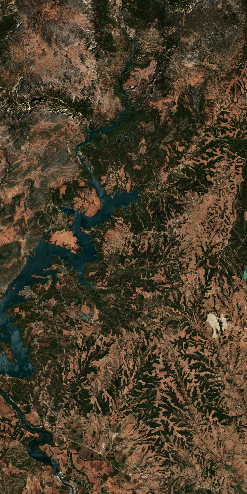 Sentinel-2 images