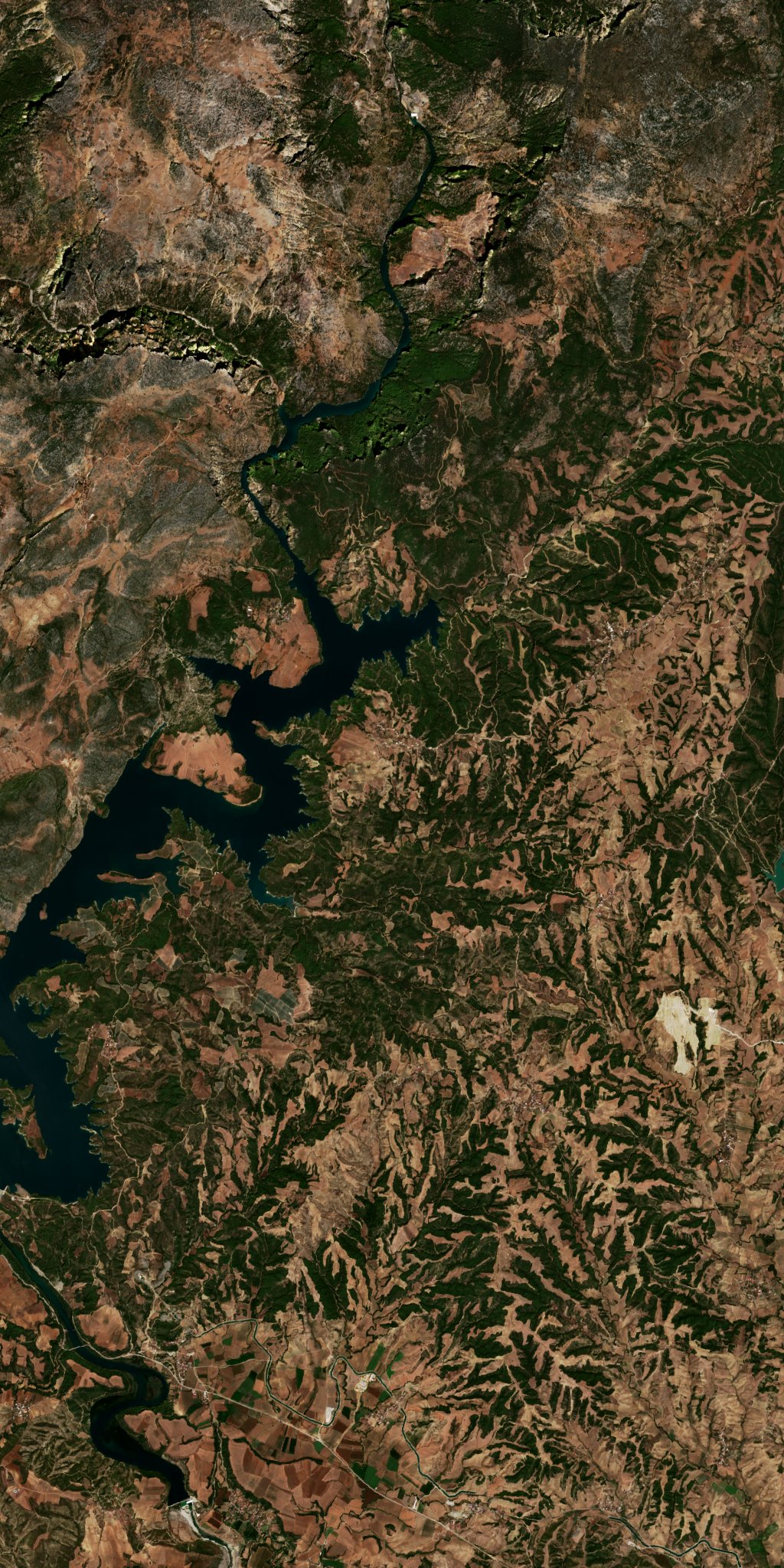 The area before the fire, September 3, 2026