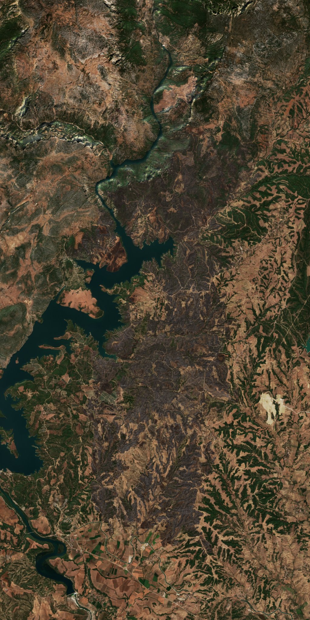 The area after the fire, September 11, 2026