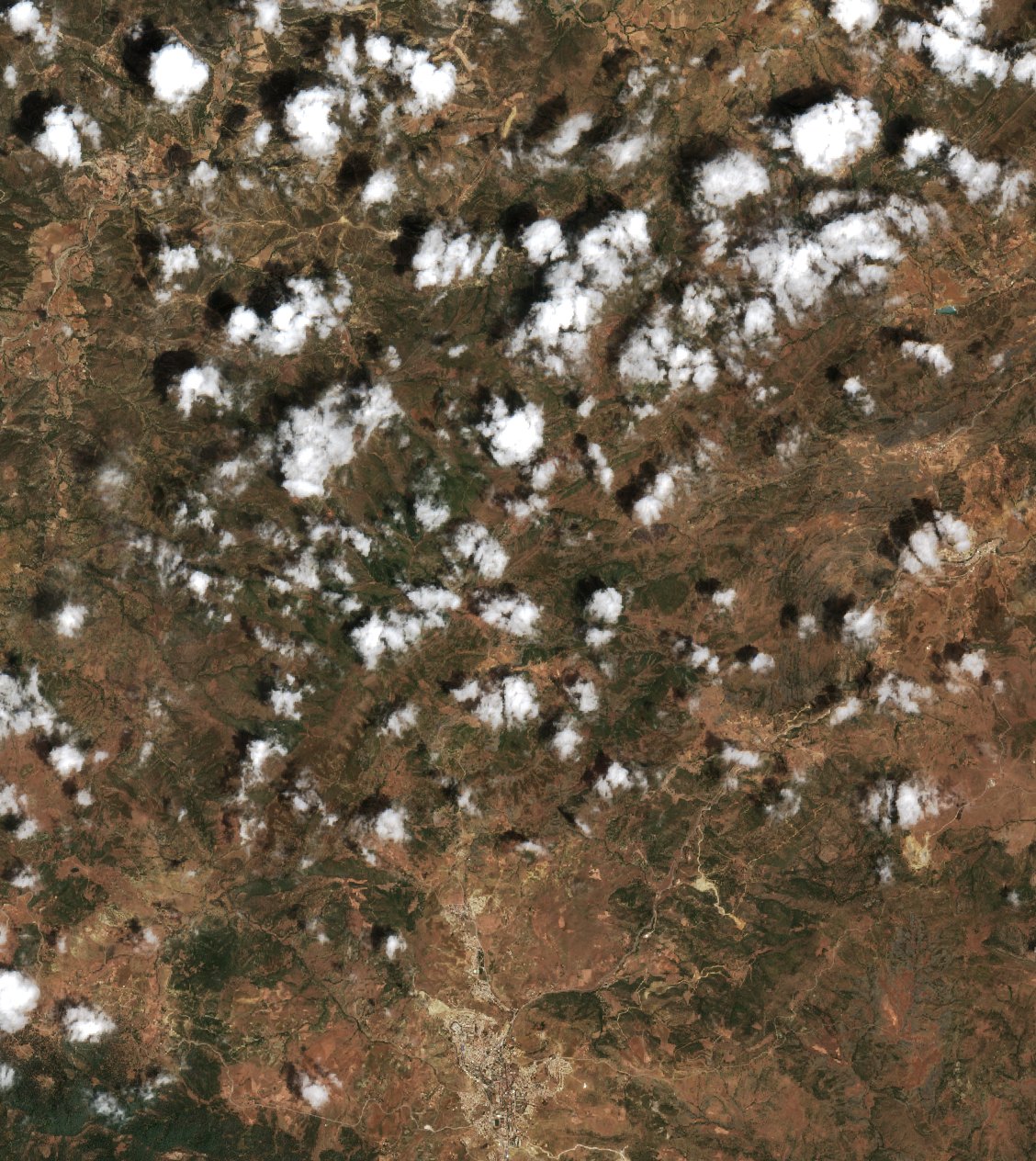 Sentinel-2 images