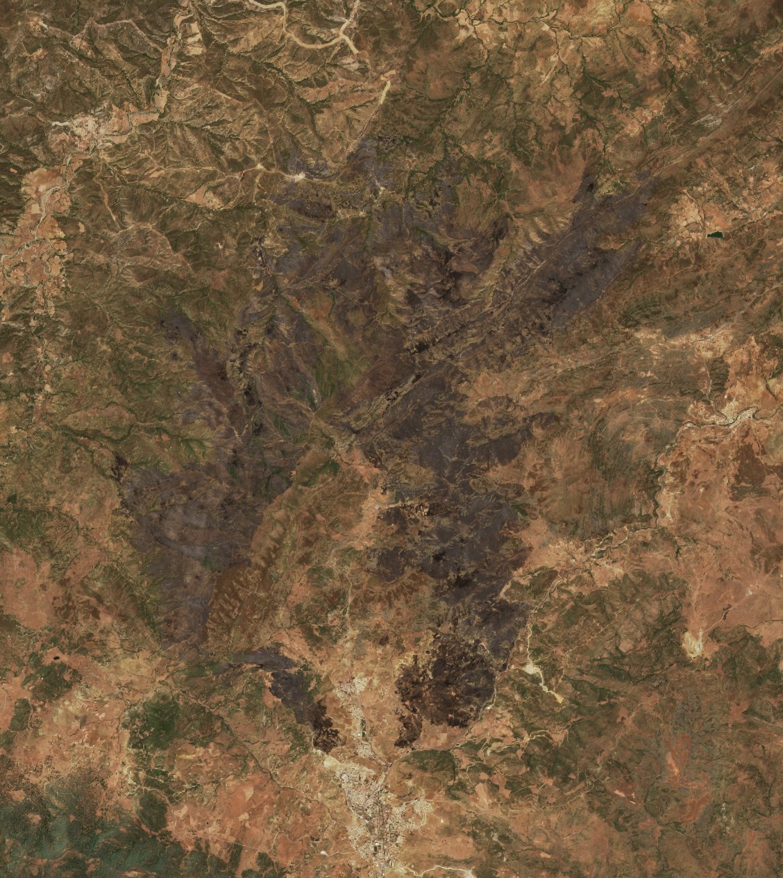 The area after the fire, June 29, 2019