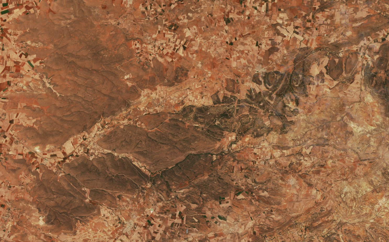 The area before the fire, July 10, 2026