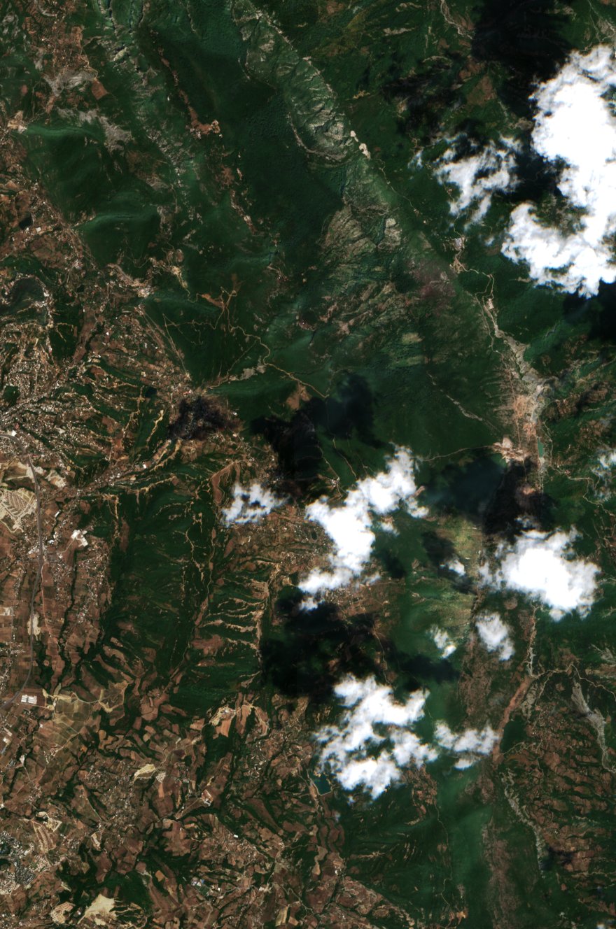 The area before the fire, August 8, 2026