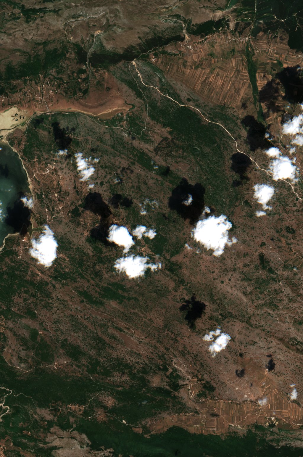 The area before the fire, July 31, 2021